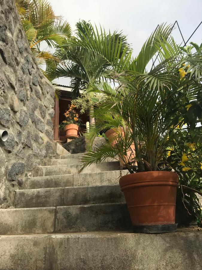 סן-לו Villa Moai 974 מראה חיצוני תמונה